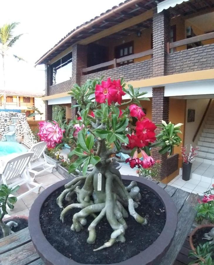 A Flor Da Terra 賓館